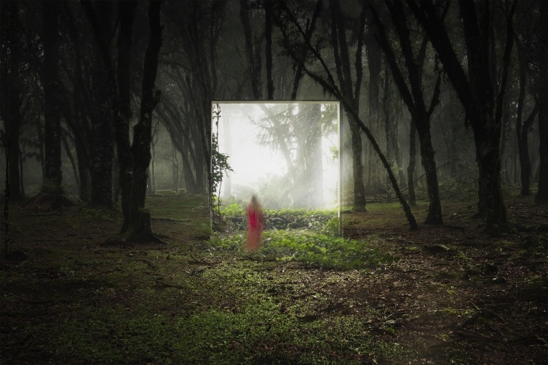 a huge mirror in the forest in which reflection there's a woman in a red dress
